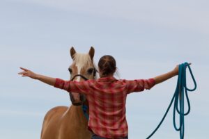 Horsemanship und Bodenarbeit mit Pferden